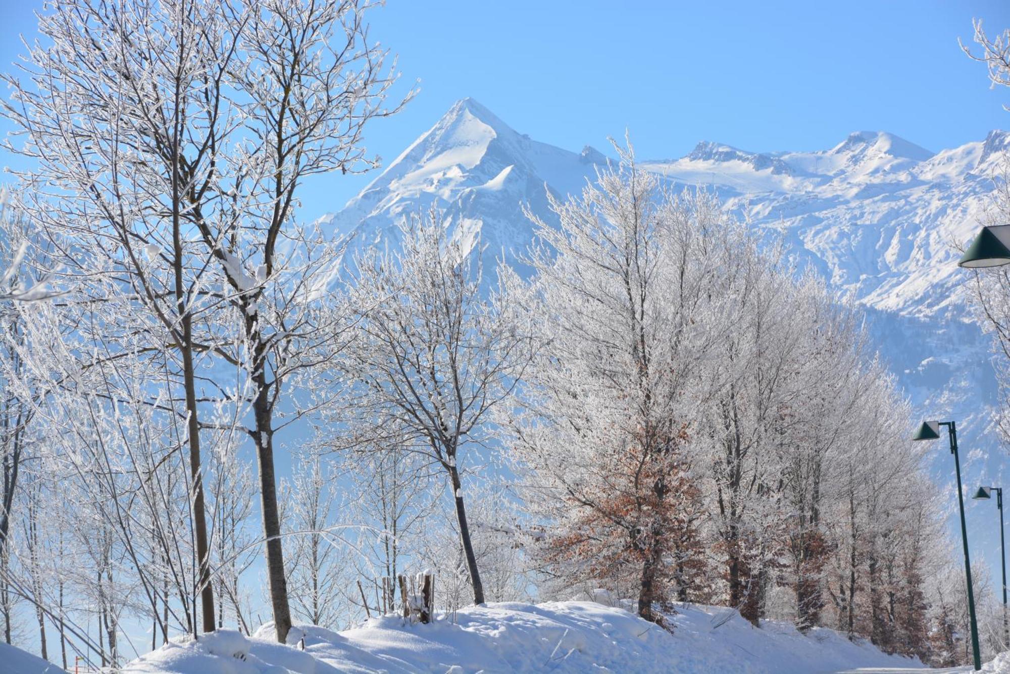 Apartment Apartment Mountain Panorama By Z-K-H Rentals Zell am See